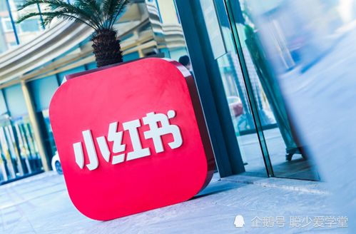想要成为小红书自营的一员？如何顺利加入小红书自营店铺？