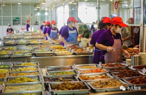 学校食堂配送业务能否带来可观收益？