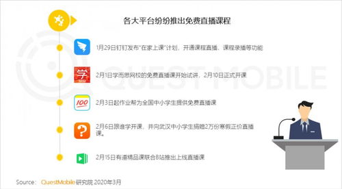 如何通过LR平台找到高收益的副业机会？