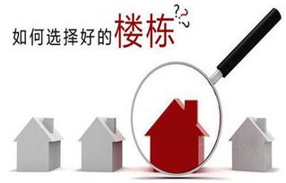 主业副业如何抉择？公司工作选择有何技巧？