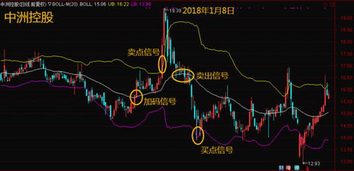 哪些行业或技能能让你轻松实现高收入？