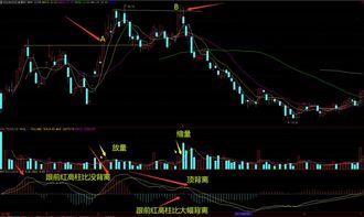 如何在短时间内通过上平台实现稳定收益？