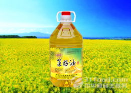 现炸菜籽油生意真的能带来可观的收入吗？