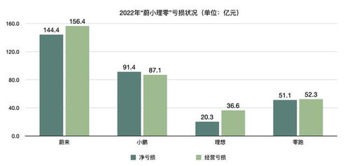 广西高校中，哪一所的盈利能力最为突出？