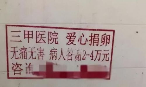 在职教师兼职涉足女性领域，背后有何隐情？