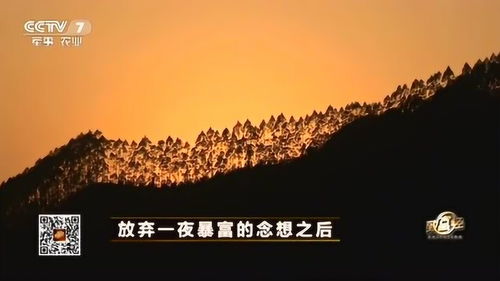 如何才能发现适合自己的赚钱之道，打造属于你的财富之路有哪些秘诀？