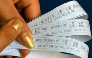 自然风险普查员这份工作真的能带来稳定收入吗？