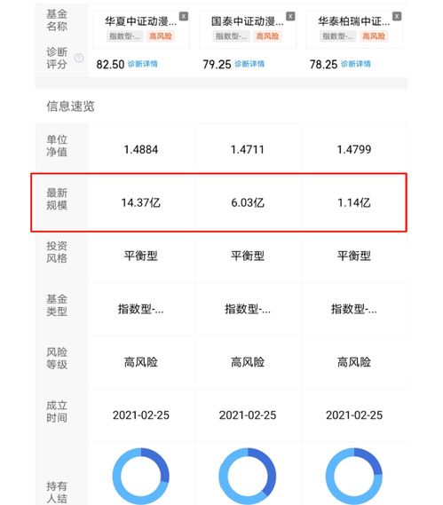 如何找到收益最高的账号类型？快速盈利秘诀在哪里？