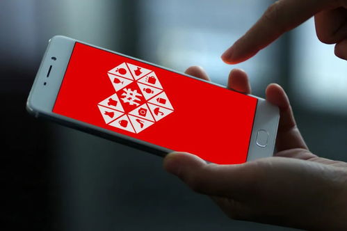 如何在拼多多助力后查看小红书的相关信息？
