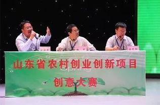 去山东农村创业，哪些项目最赚钱？