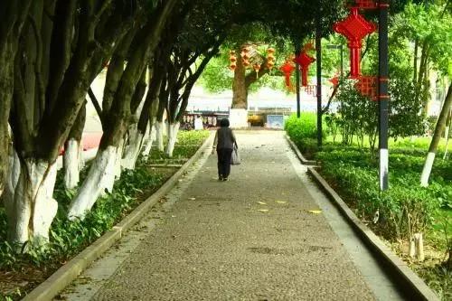 你是否了解餐道兼职的内幕与真实体验？