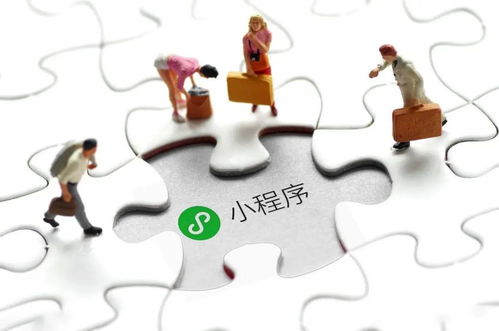 博士在读期间，副业选择有何独到之处？