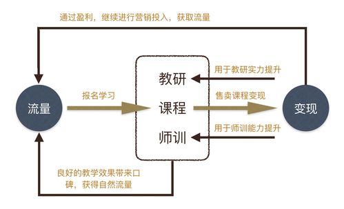 自然流量搭配什么策略才能实现最高收益？
