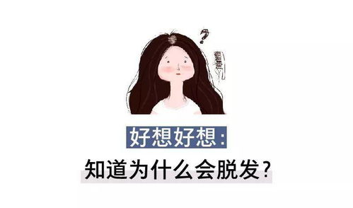 在家自制假发能否成为赚钱新途径？