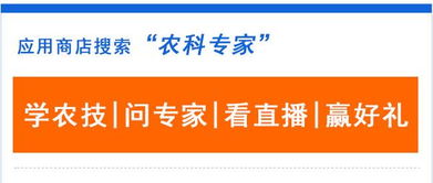 刨地真的能赚钱吗？农村致富新途径大探讨