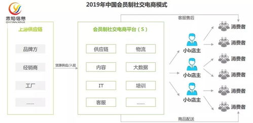 社交电商模式中，哪一种盈利效果最佳？