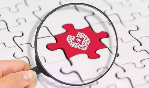 小黑子真的在助力拼多多吗？真相令人好奇！