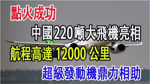 0001号项目能否成功，还请您鼎力相助？