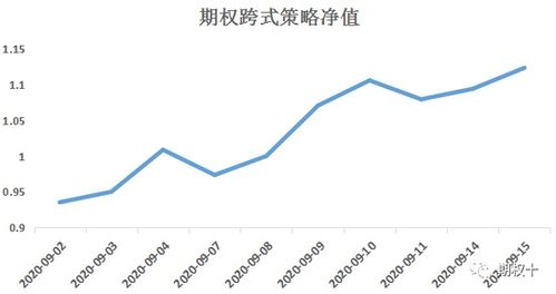 赞友商城期权盈利模式是怎样的？如何通过期权实现收益？