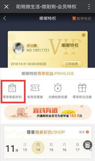 头条提现方式众多，哪种方法最能助你轻松赚钱？