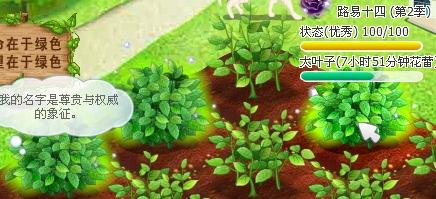在大地里种植哪种作物最易获利？