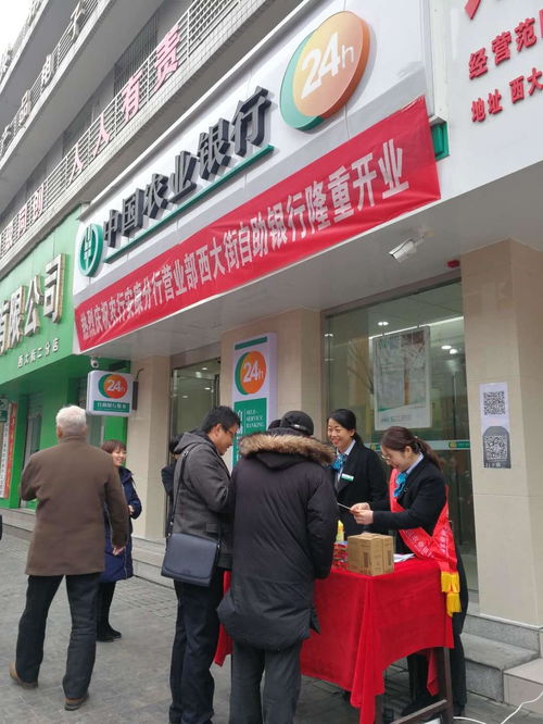 如何高效使用揭阳农业银行的自助业务办理服务？