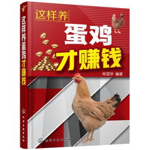 养蛋鸡真的能盈利吗？深入了解其赚钱潜力