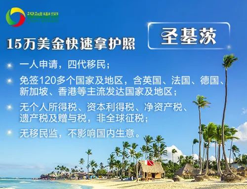 松柏副业社背后隐藏着怎样的成功秘诀？