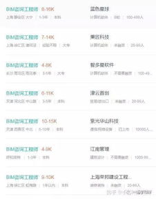 哪个地区的工程项目能让从业者获得更高收入？