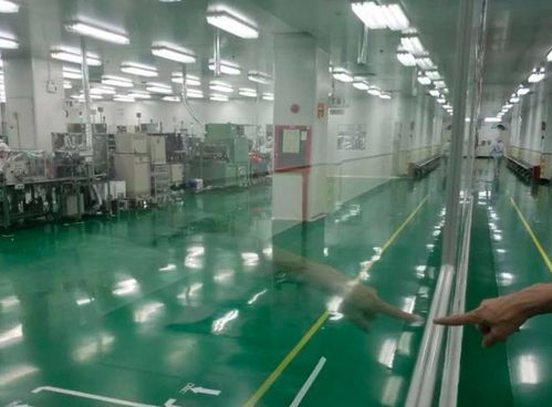 沙井松下泰康及工厂环境如何？值得信赖吗？