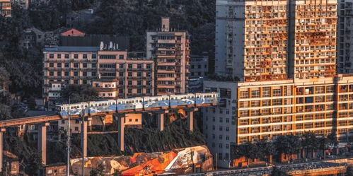 你知道在重庆哪些公司最会赚钱吗？
