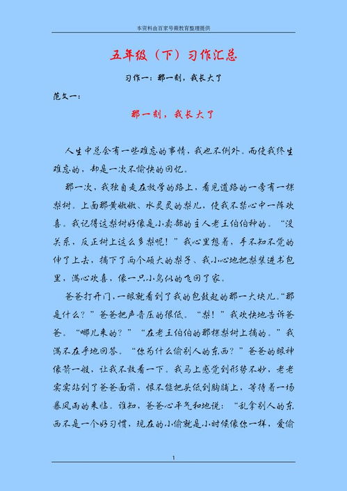 如何撰写高效吸引人才的会计招聘要求及范文示例？