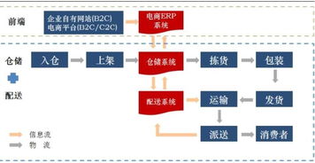 哪类快运服务更具盈利潜力？如何选择赚钱的快运业务？