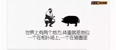 如何用幽默文案让副业火起来？搞笑句子大放送！