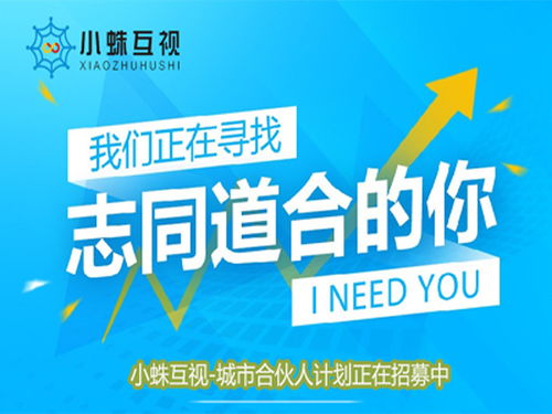 如何制定高效的副业广告投放方案？成功秘诀大公开！