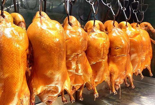 江西烤鸭卷加盟真的能带来可观收益吗？