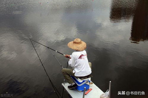 在家自助钓鱼真的能带来可观收入吗？