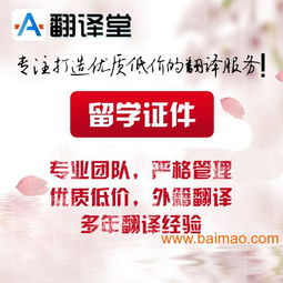 如何通过优质翻译打造高收益副业？全面攻略解析