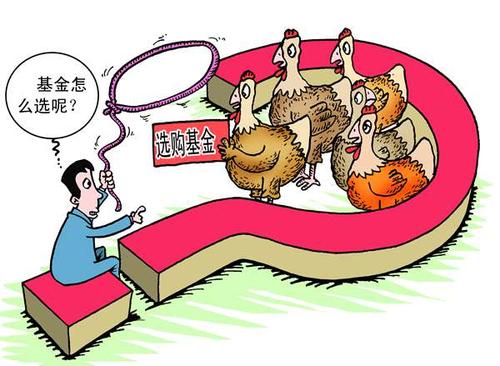 基金年底盈利秘诀何在？如何把握年底投资良机？