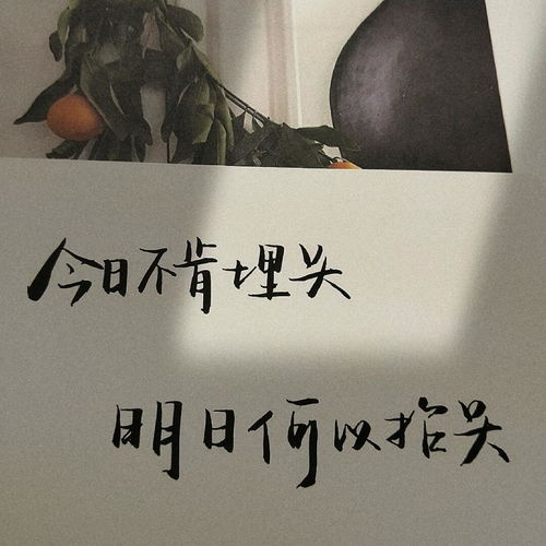 如何找到适合自己的副业句子文案图片资源？