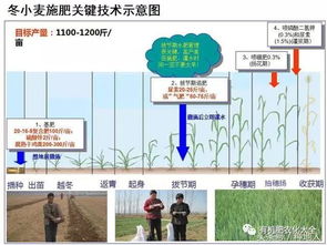 在当前形势下，农民有哪些新的赚钱途径？