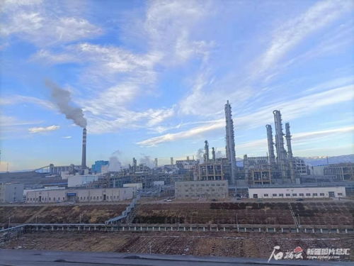 伊犁新天煤化工在行业内实力如何？网友对其未来发展前景看法不一，真相如何？
