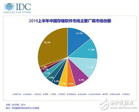 今年储存土豆能否实现盈利？市场前景分析