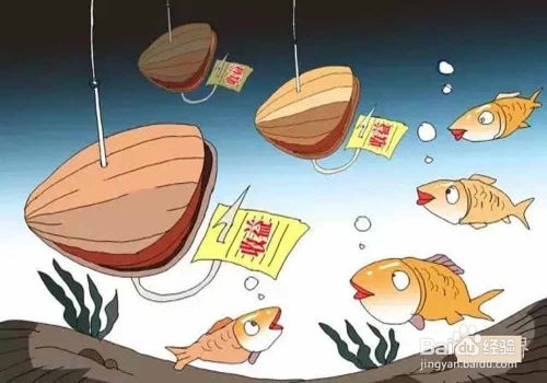 小金鱼副业真的能赚钱吗？新手如何快速上手？