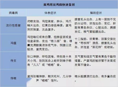 加盟货源号含义及真假辨别方法，新手如何判断？