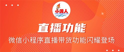 如何利用洗发水开启副业之路？你真的了解其中的商机吗？