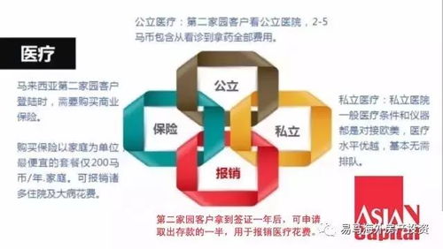 哪种娱乐方式能最快实现财富增长？