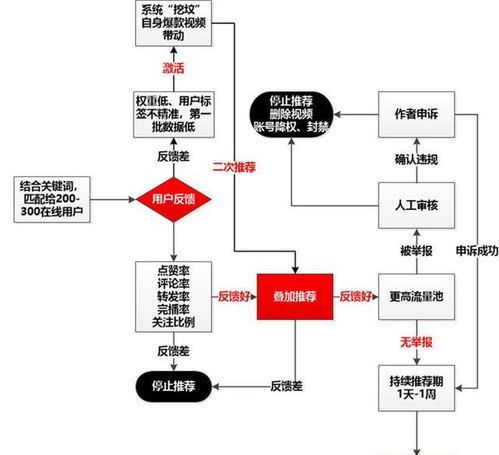 抖音短视频公寓盈利模式是怎样的？如何实现盈利？