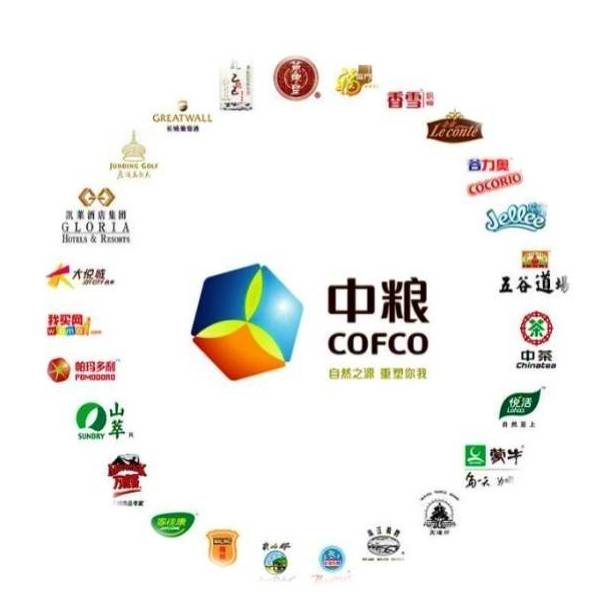 中粮集团的核心业务包括哪些领域？中粮公司日常运营涉及哪些具体业务活动？
