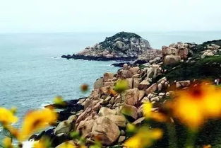 孤岛挖海鲜真的能赚钱吗？探索海岛生财之道
